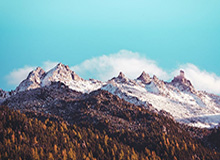 WTT多哈冠军赛 林诗栋2-4不敌张禹珍无缘决赛