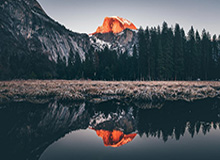 WTT多哈冠军赛 林诗栋2-4不敌张禹珍无缘决赛